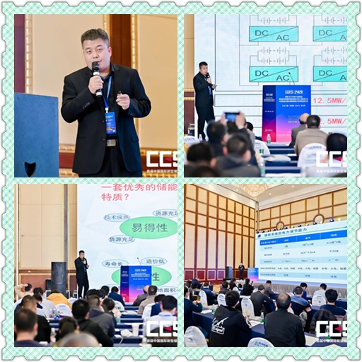 1642639903194272.jpg 儲能大會 配圖5.jpg